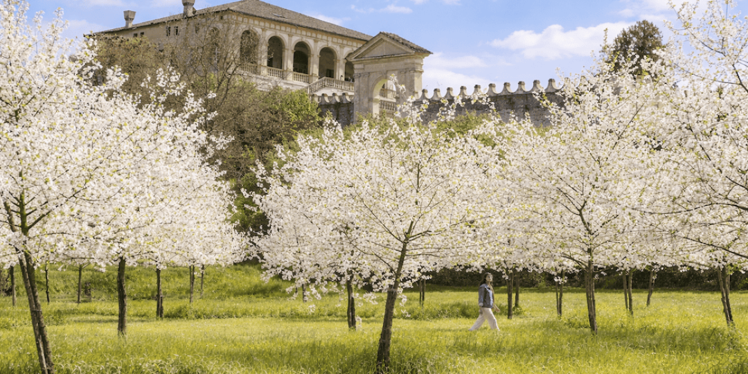 01 Villa dei vescovi Aprile Lorenzo Cicconi Massi (c) FAI RIT