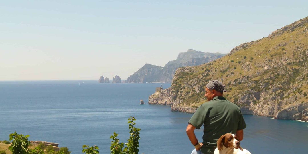 L1180673_Foto-Antonella-De-Angelis_2013_CFAI-Fondo-Ambiente-Italiano-scaled-1